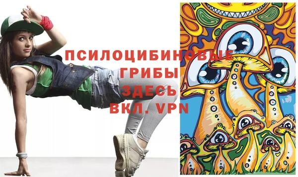 соль ск Аркадак