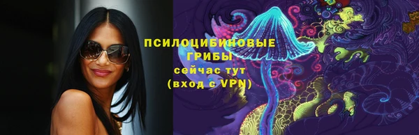 тгк Алзамай