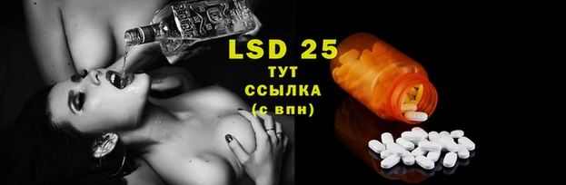 тгк Алзамай