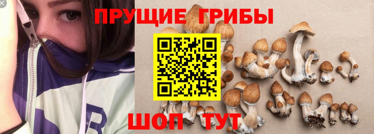 Псилоцибиновые грибы Magic Shrooms  Вход с VPN  наркошоп  Псилоцибиновые грибы Psilocybine cubensis  Сочи 
